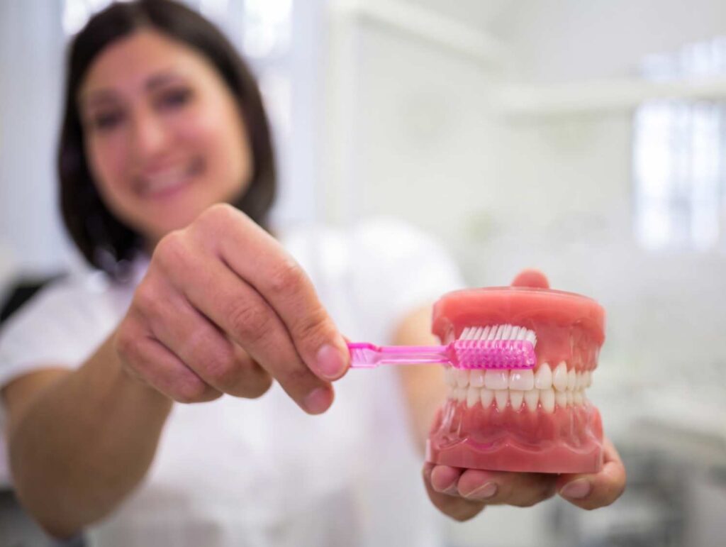 Dentista sorridente segura um modelo dentário e uma escova, ensinando como higienizar a prótese protocolo na Estrada de Itapecerica.
